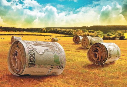 УКК "Камурдж" вовлекается в госпрограмму субсидирования сельхозкредитов